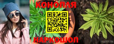 дмт Кинель