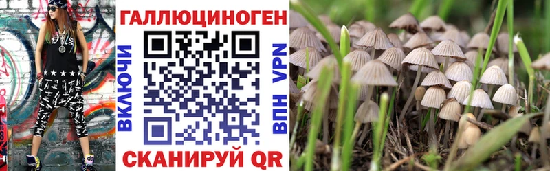 Галлюциногенные грибы Cubensis  Тосно 