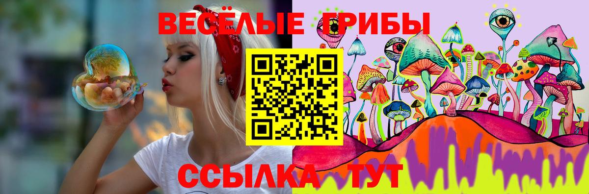 Галлюциногенные грибы GOLDEN TEACHER  Тосно 